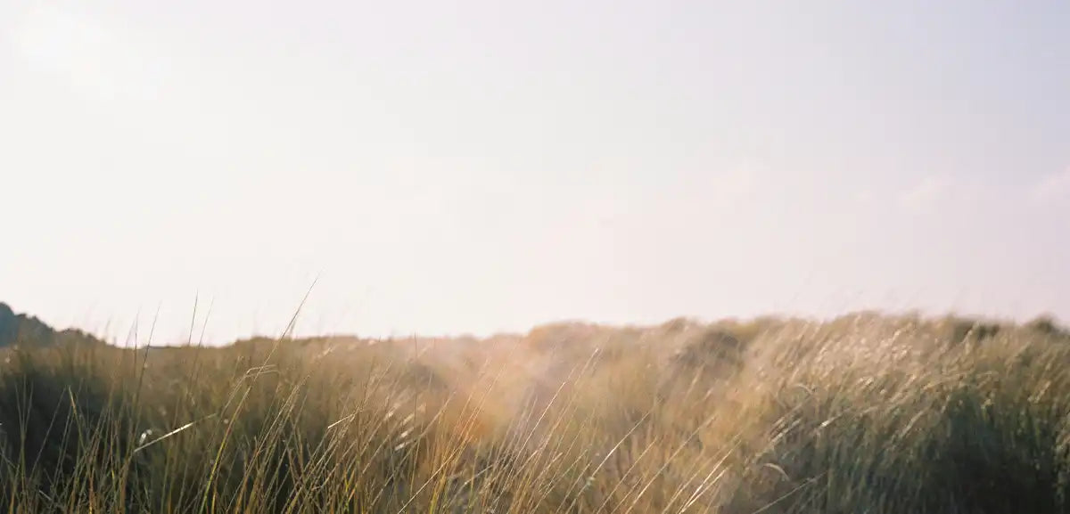 Discover The Power Of Stress Relief Perfume