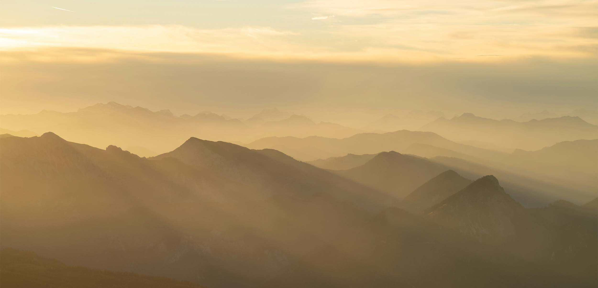 5 scents that lift your spirit, according to experts