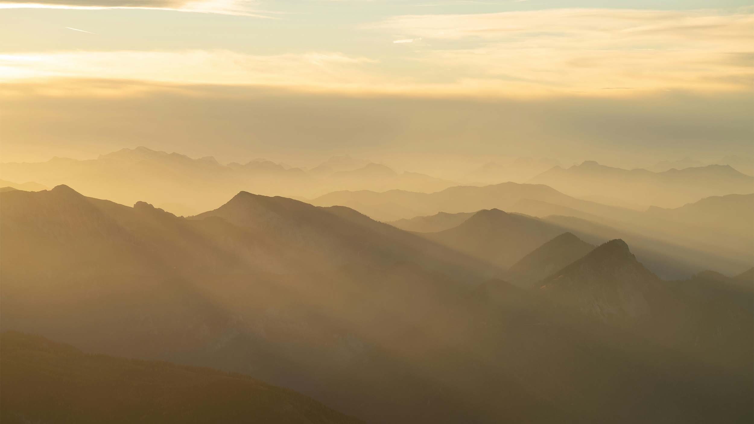 5 scents that lift your spirit