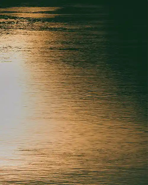 CBD, stress et anxiété : les bienfaits des huiles AMNIENS