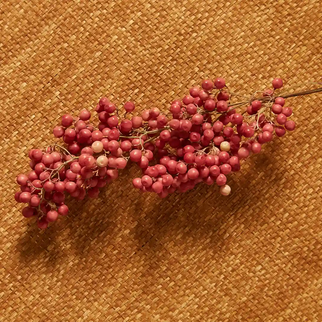 AMNIENS calming scented oil Nebbia all'alba Pink Pepper