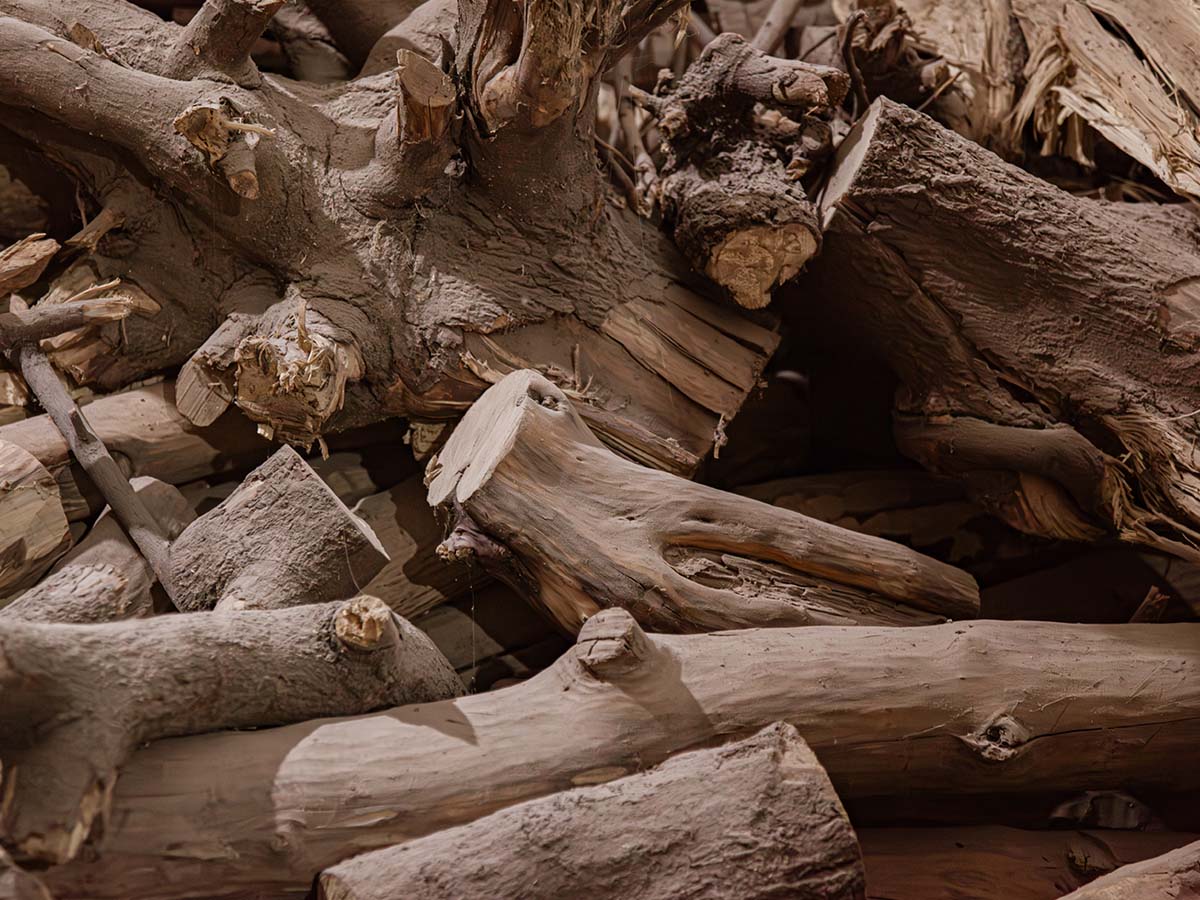 Raw sandalwood