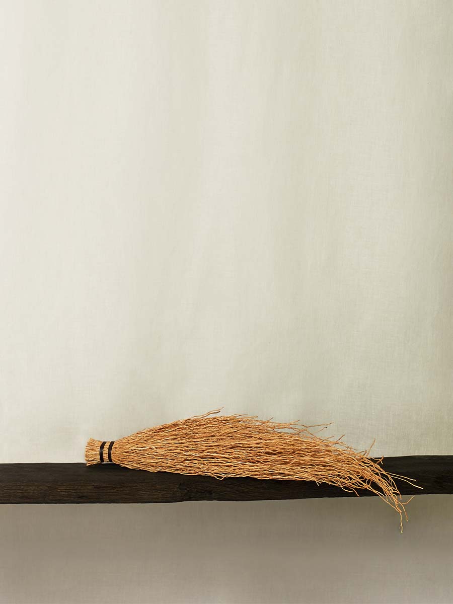 Herbe de vétiver aromathérapie AMNIENS